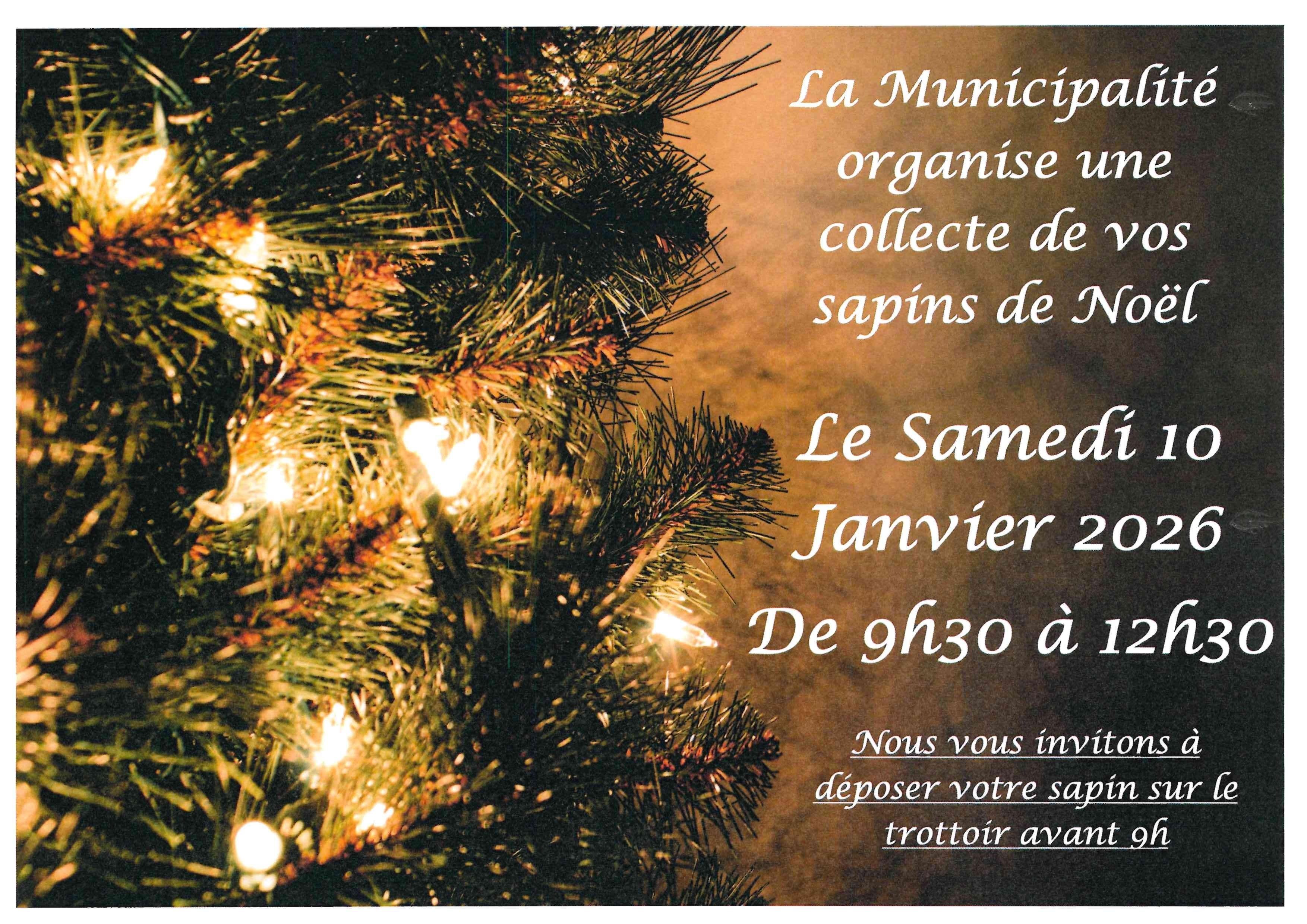 collecte des sapins 2025-2026