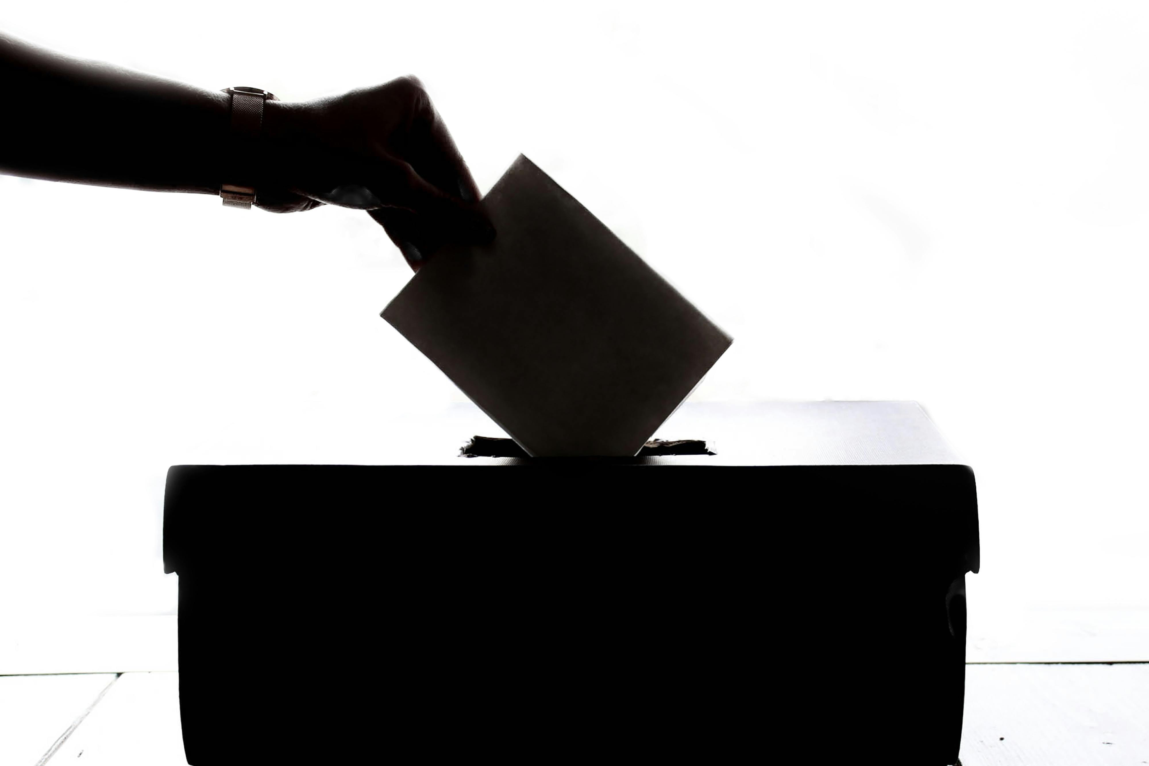 illustration rubrique élections (source pexels)